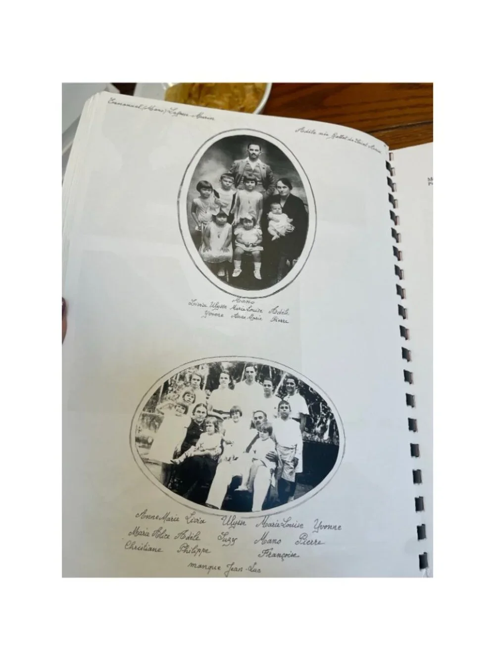 Les Gallet de Saint Aurin Martinique French Genealogy Photo History Archive